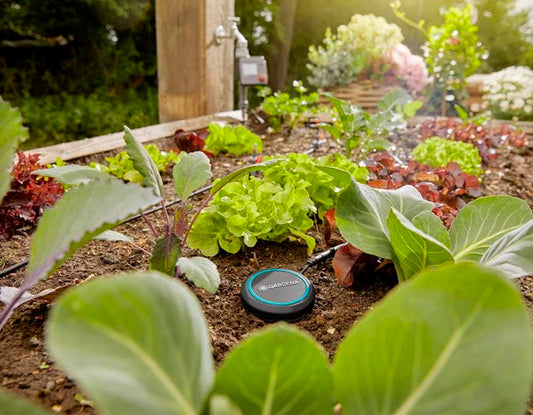 SENZOR UMIDITATE SOL 1867