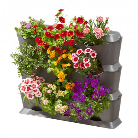 NATUREUP SET DE PERETE VERTICAL 13150