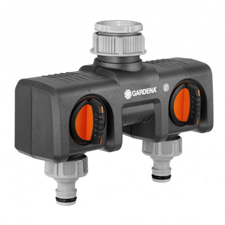 RAMIFICATIE DOUA CAI 8193